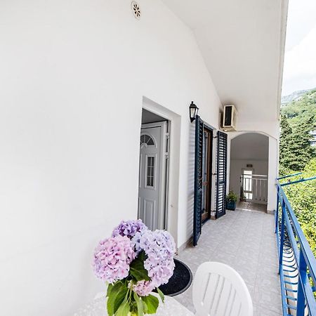 Apartments Vila Nikolic ラファイロヴィチ エクステリア 写真