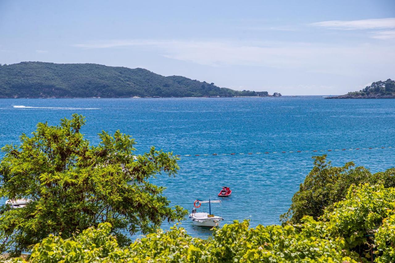 Apartments Vila Nikolic ラファイロヴィチ エクステリア 写真