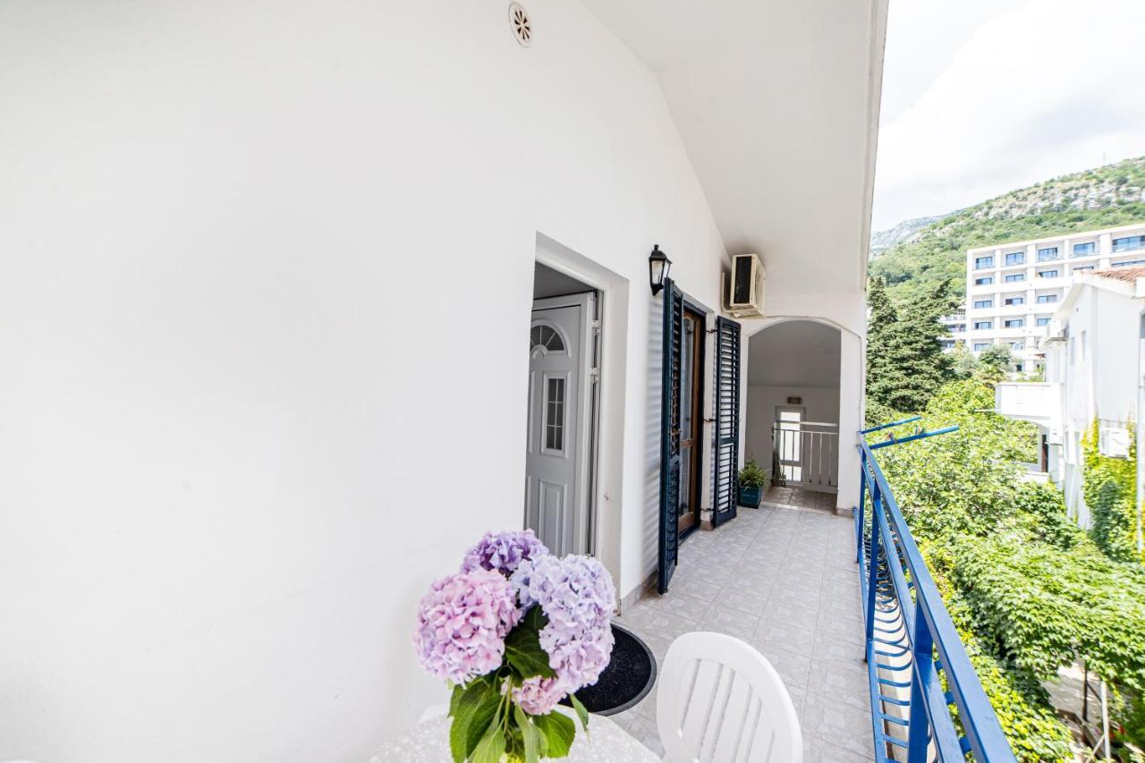 Apartments Vila Nikolic ラファイロヴィチ エクステリア 写真