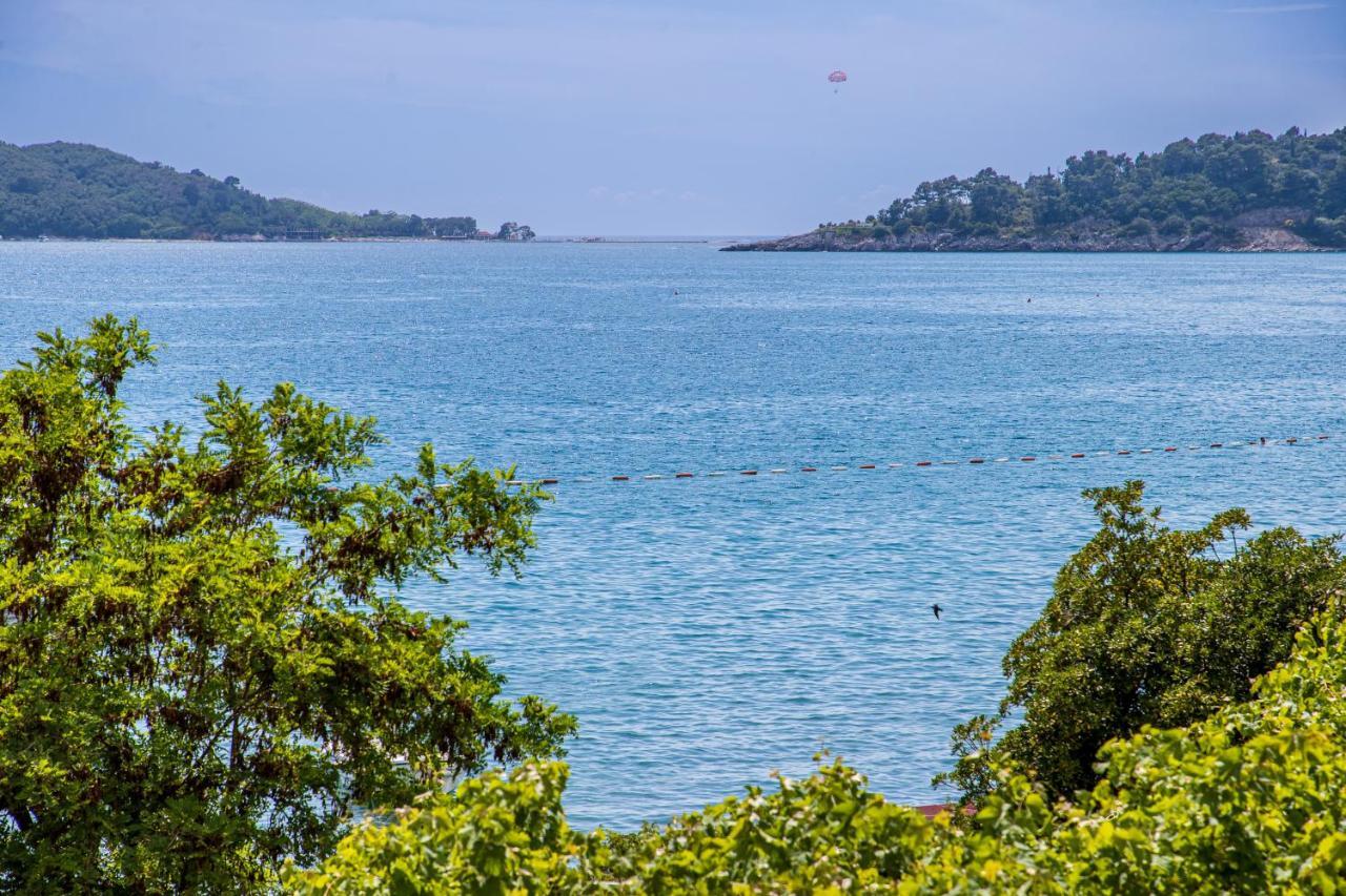 Apartments Vila Nikolic ラファイロヴィチ エクステリア 写真